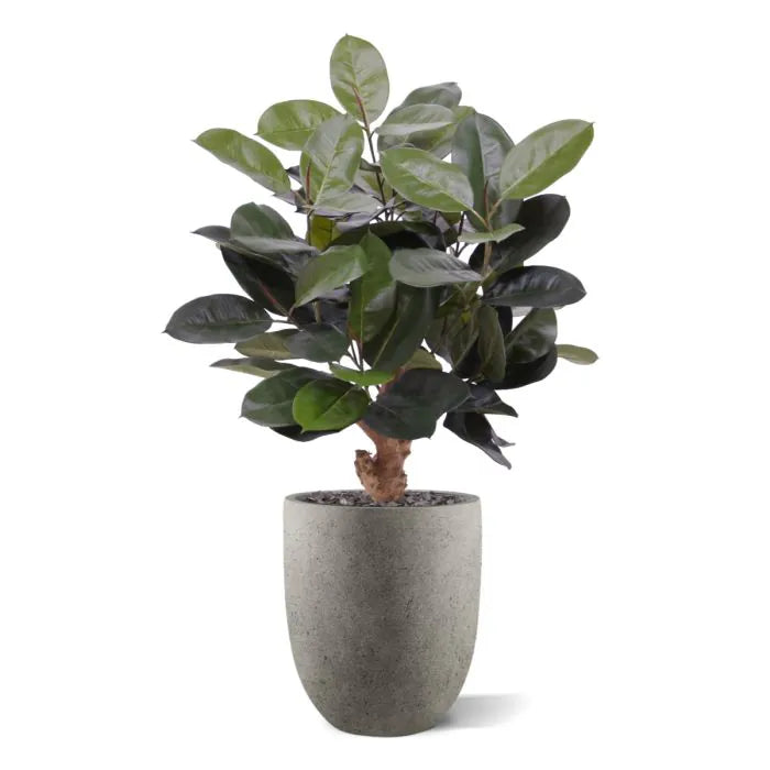 Elastica Robusta kunstplant 95cm groen