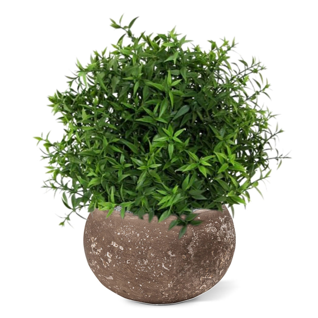 Eucalyptus kunstplant 35cm
