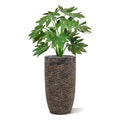 Fatsia Japonica kunstplant 80cm