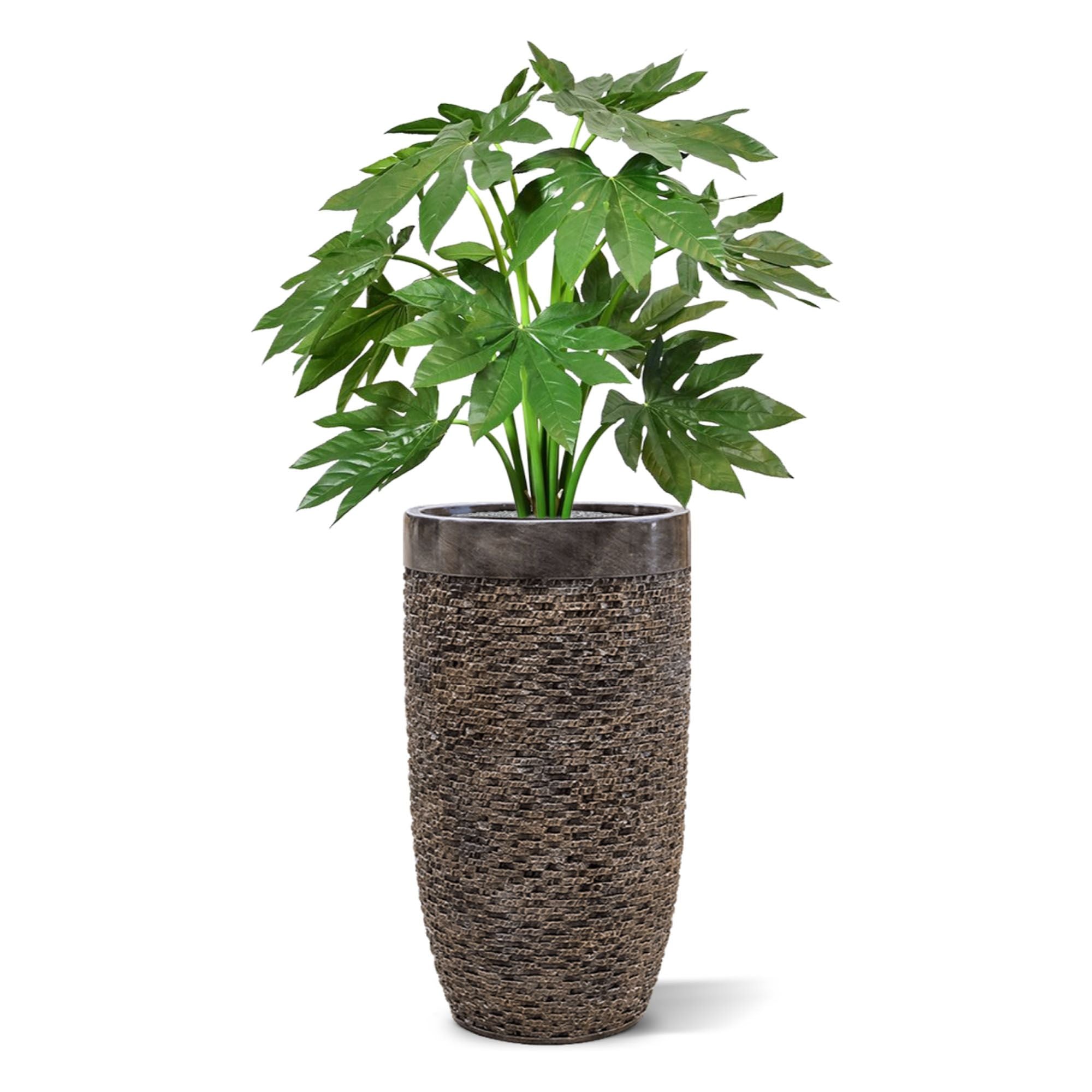 Fatsia Japonica kunstplant 80cm