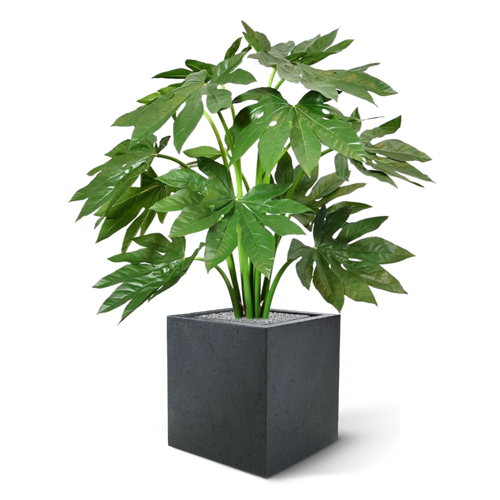 Fatsia Japonica kunstplant 80cm