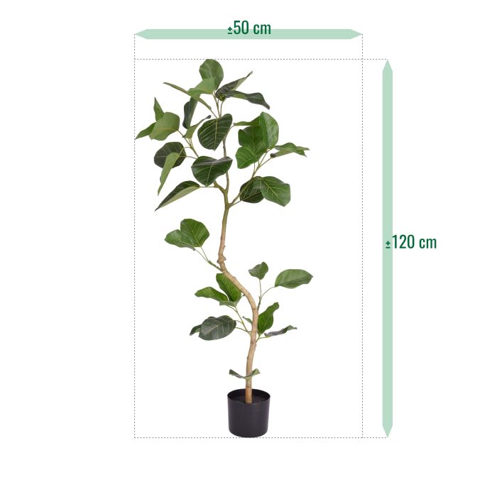 Ficus Audrey Kunstplant RT 120cm