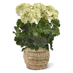 Kunst geranium XL wit uv-bestendig voor buiten 