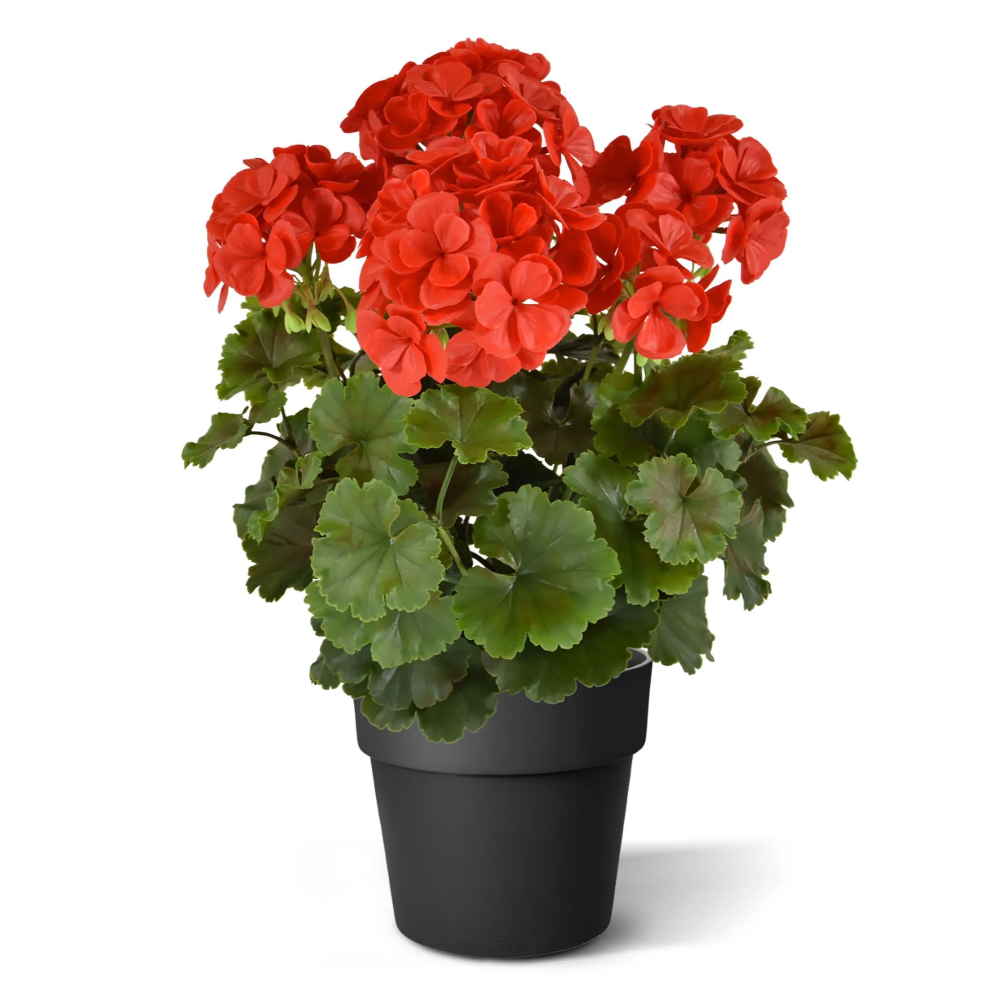 Extra lange rode, UV-bestendige kunstmatige geranium voor buiten, UV-bestendig.