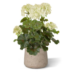 Geranium kunstboeket 38cm Wit UV 