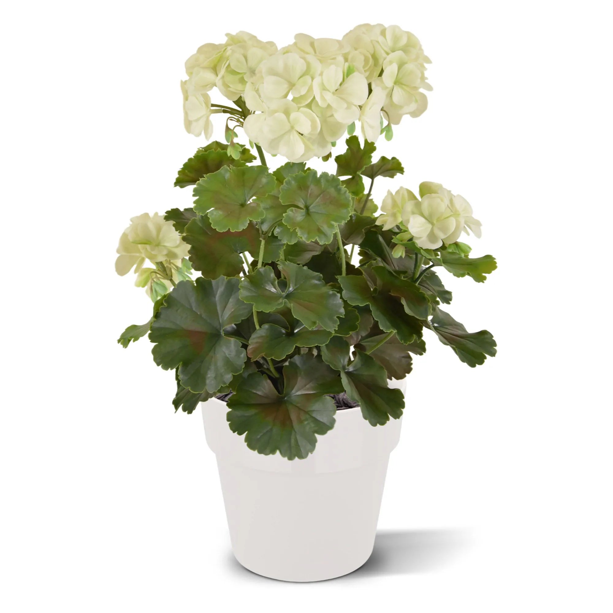 Geranium kunstboeket 38cm Wit UV 