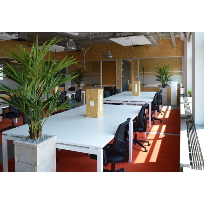 Kentia deluxe kunstpalm XL 140cm