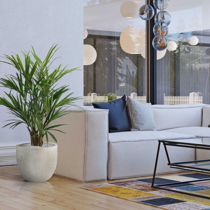 Kentia deluxe kunstpalm XL 140cm