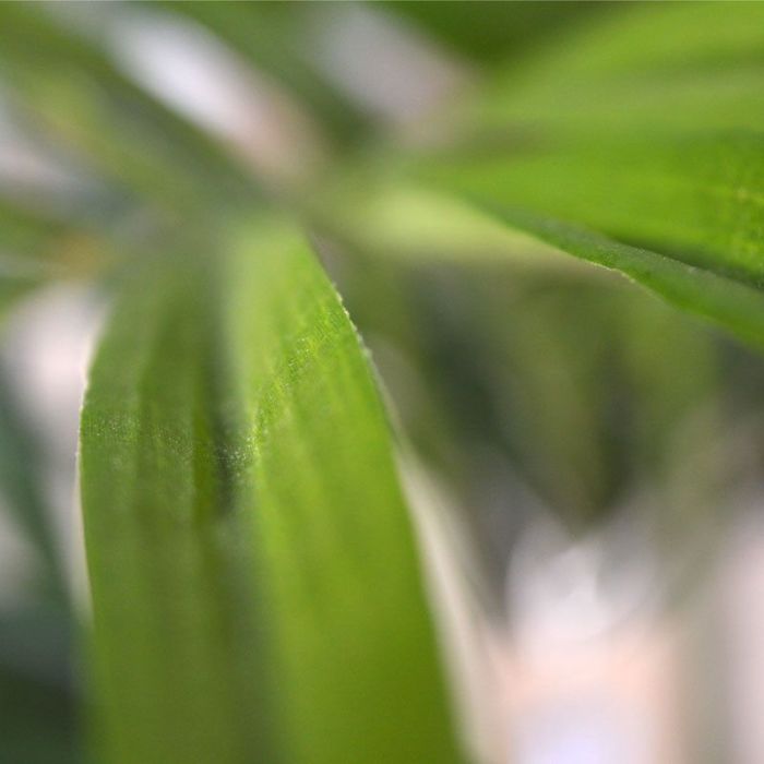 Kentia deluxe kunstpalm XL 140cm
