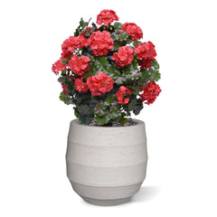 Geraniumbol kunstplant 70cm UV rood 