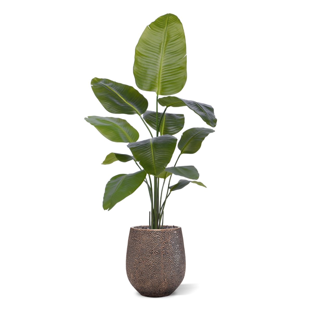 Strelitzia Nicolai kunstplant 150cm