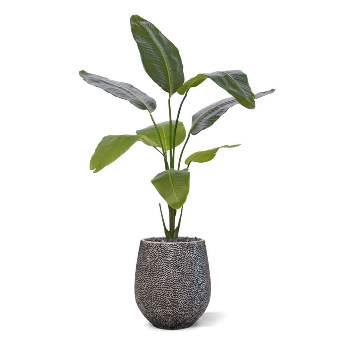 Strelitzia Nicolai kunstplant 120cm