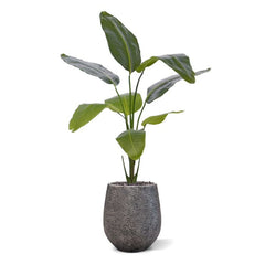 Strelitzia Nicolai kunstplant 120cm