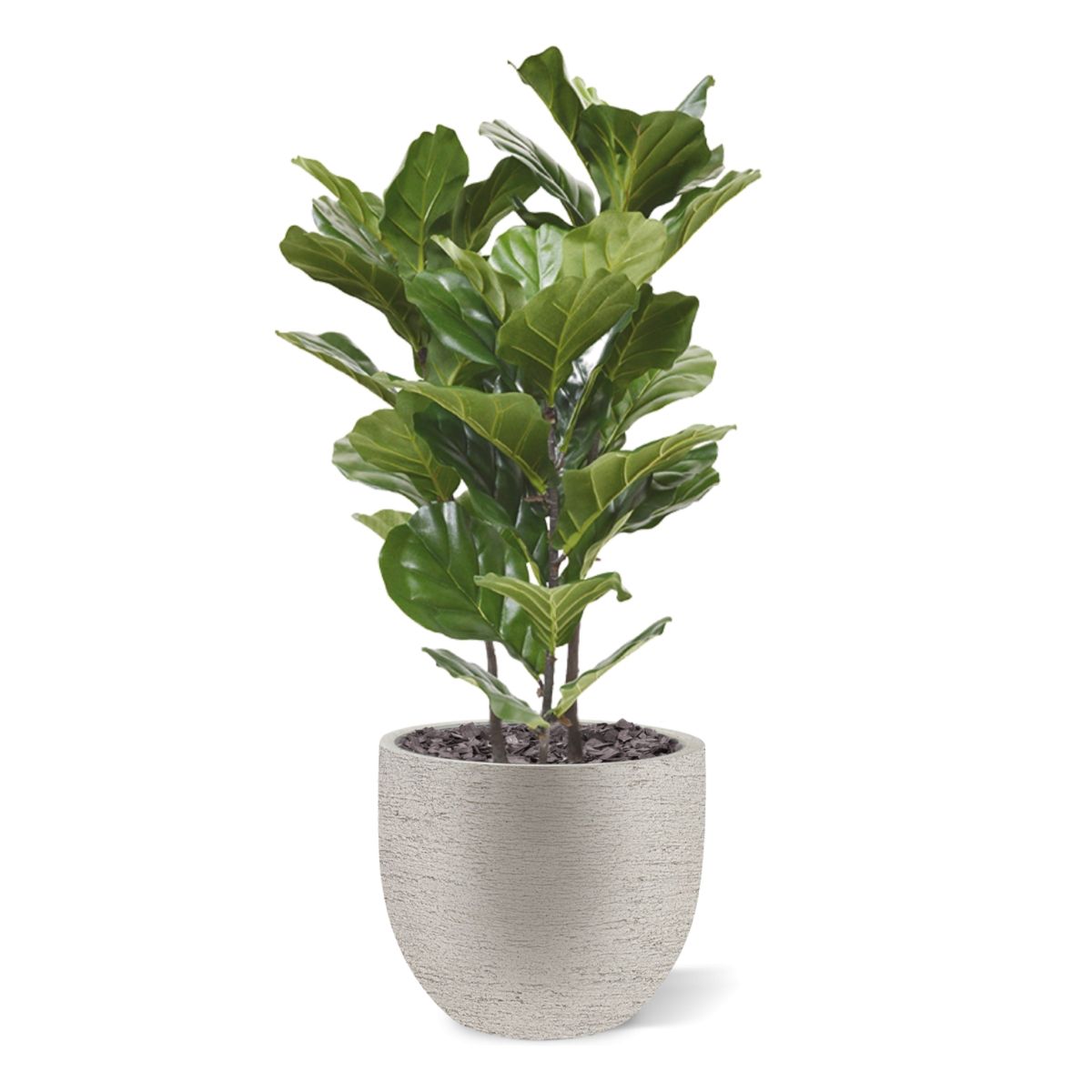 Lyrata kunstplant 95cm