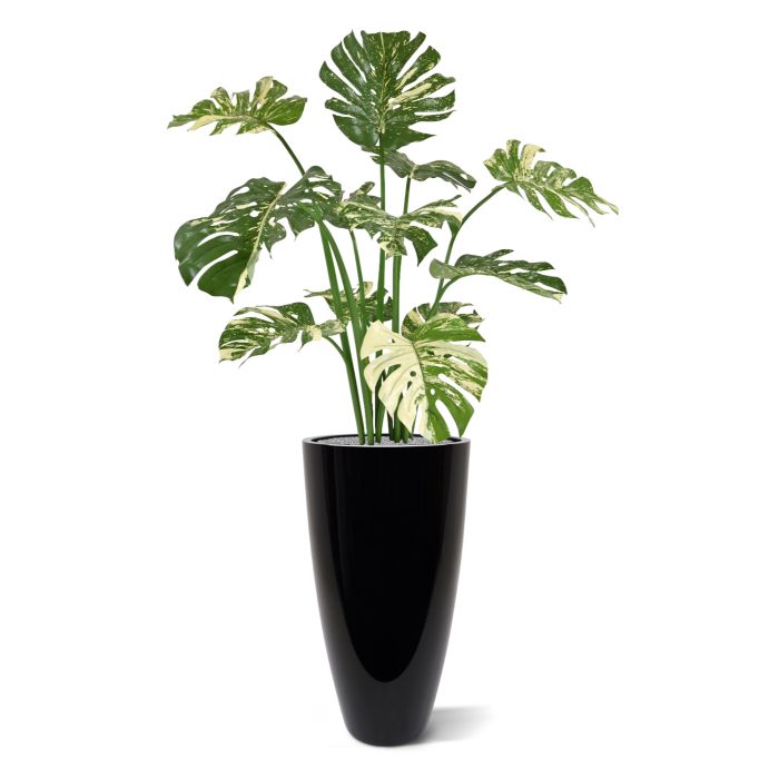 Monstera Deliciosa kunstplant 110m - groenbont
