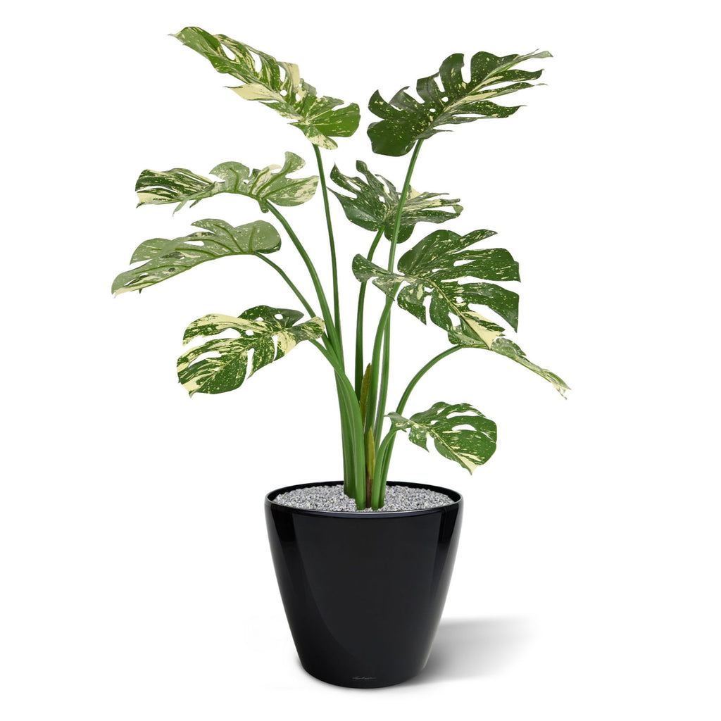 Monstera Deliciosa kunstplant 95cm - groen/bont