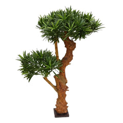 Kunstplant Podocarpus voor buiten op echte houten stam 70 cm met UV 