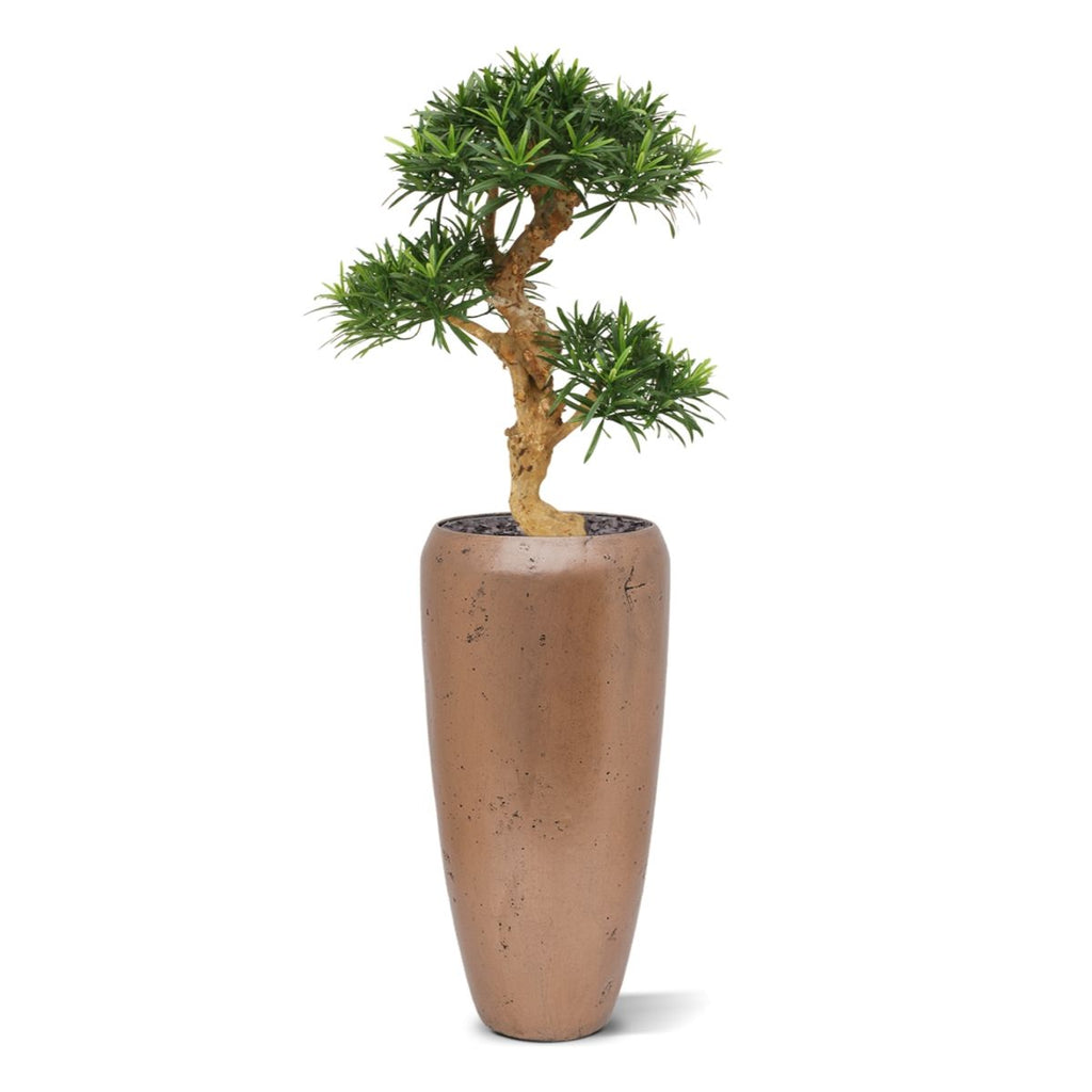 Podocarpus kunstbonsai boom deluxe op voet 65cm