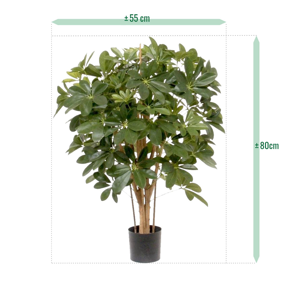 Schefflera kunstplant 80cm
