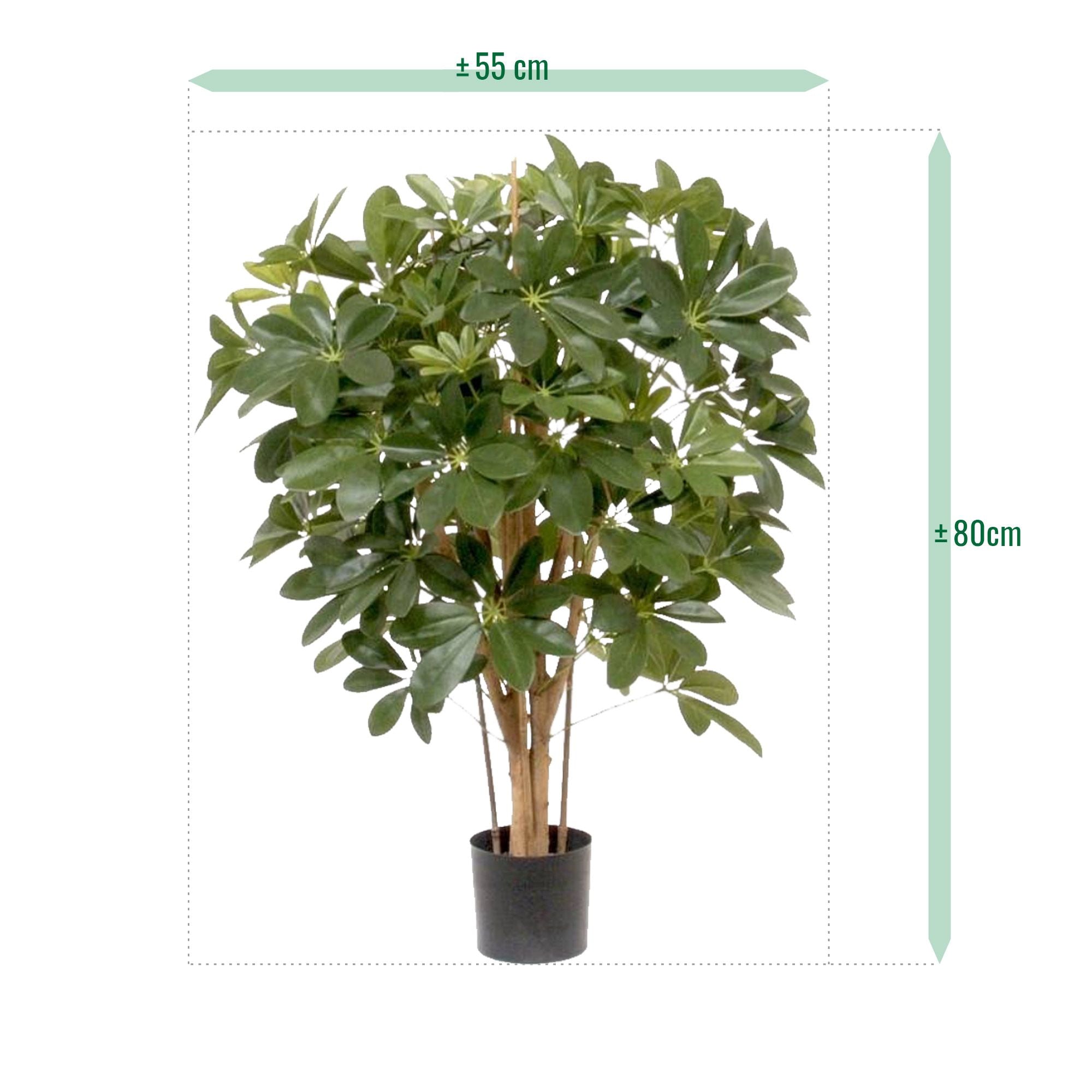 Schefflera kunstplant 80cm