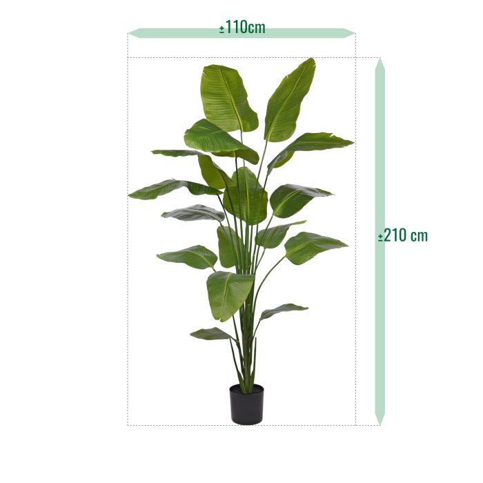 Strelitzia Nicolai kunstplant 210cm