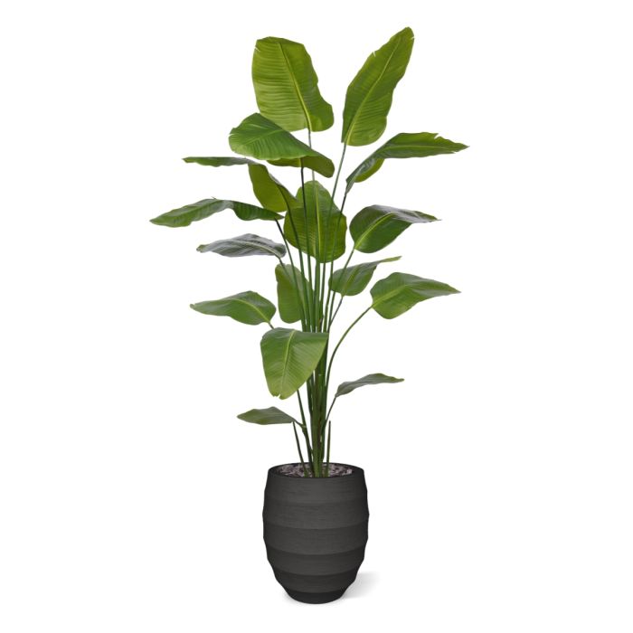 Strelitzia Nicolai kunstplant 210cm