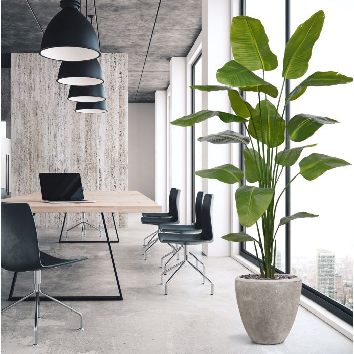 Strelitzia Nicolai kunstplant 210cm