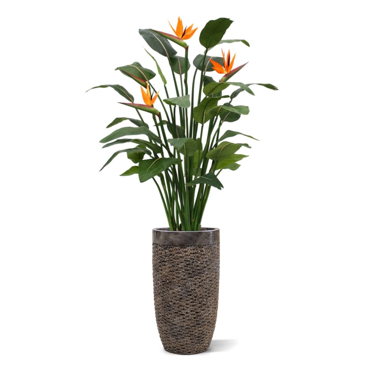 Strelitzia Deluxe kunstplant 145 cm