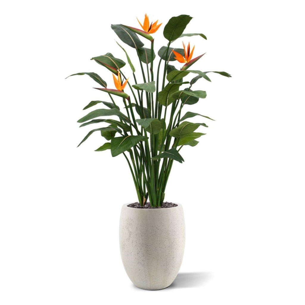 Strelitzia Deluxe kunstplant 145 cm