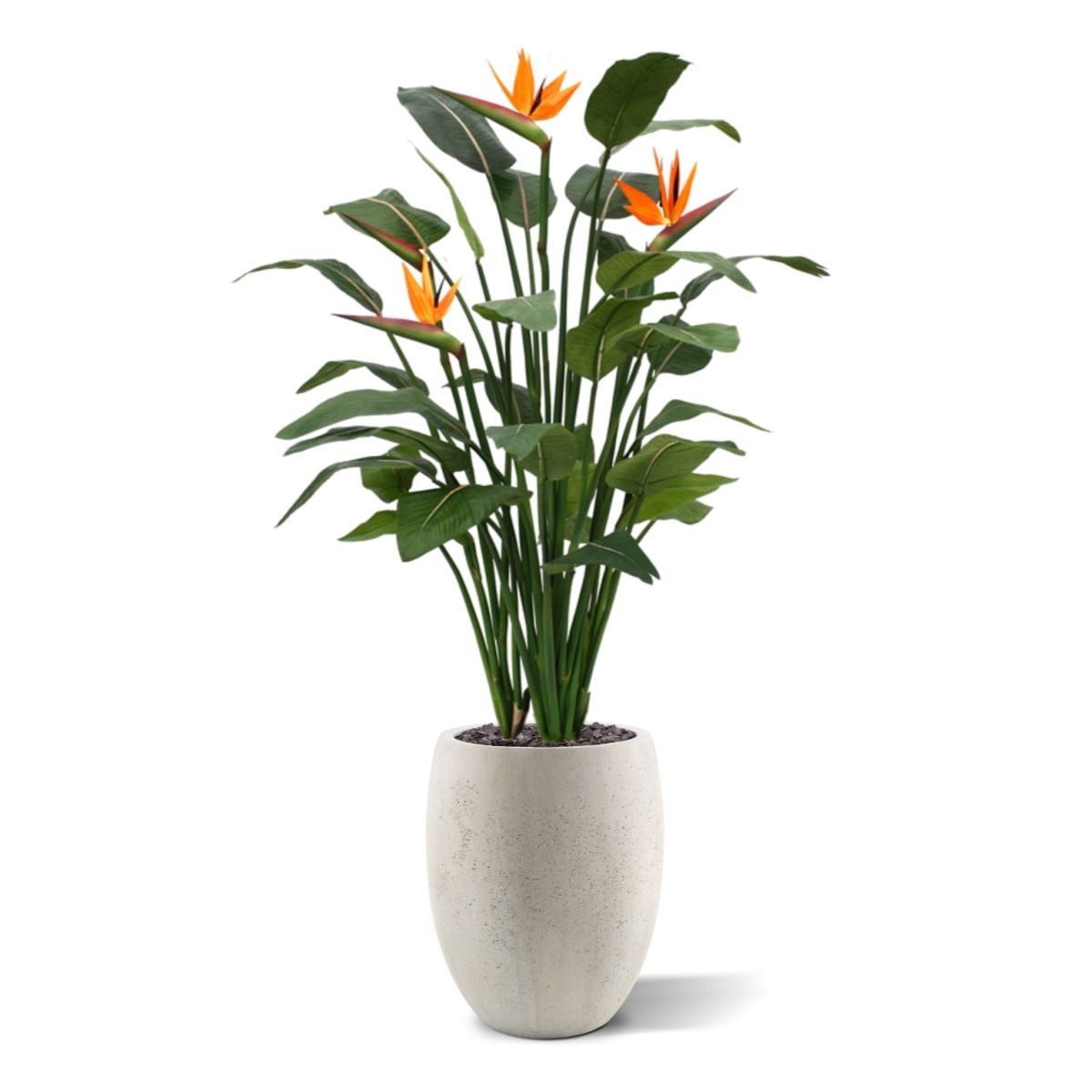 Strelitzia Deluxe kunstplant 145 cm