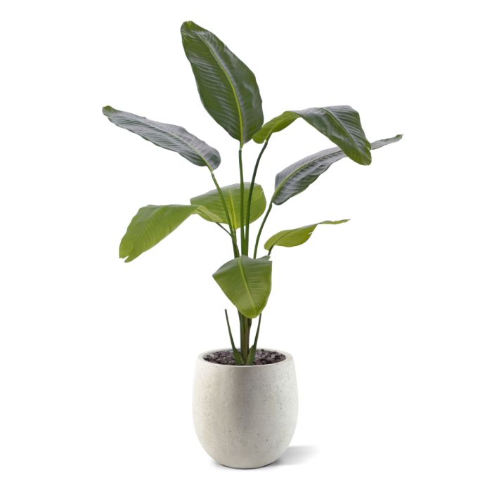 Strelitzia Nicolai kunstplant 120cm