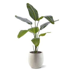 Strelitzia Nicolai kunstplant 120cm