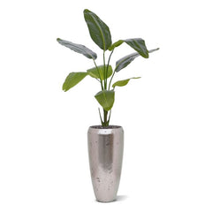 Strelitzia Nicolai kunstplant 120cm