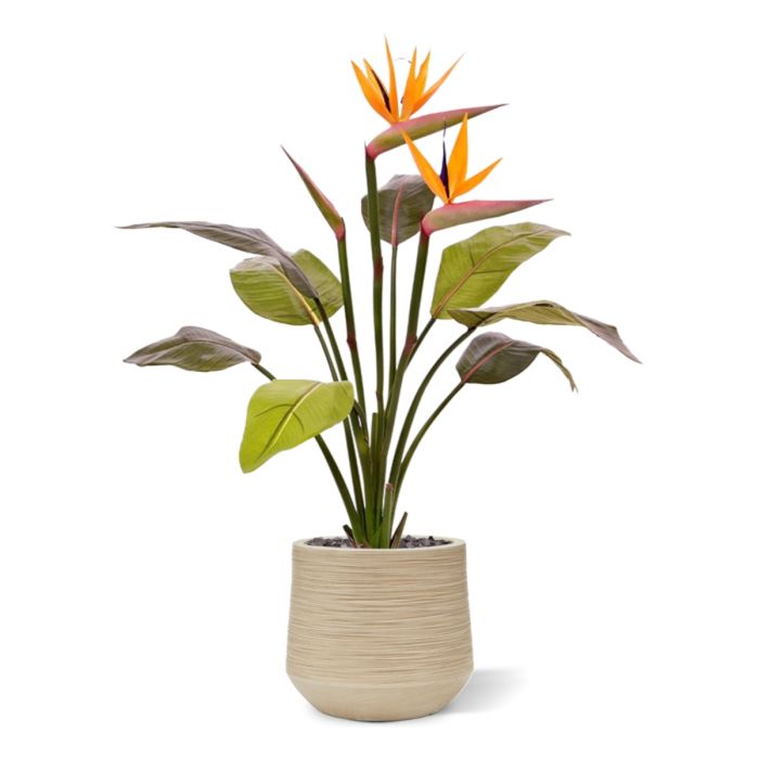 Strelitzia kunstplant 75cm