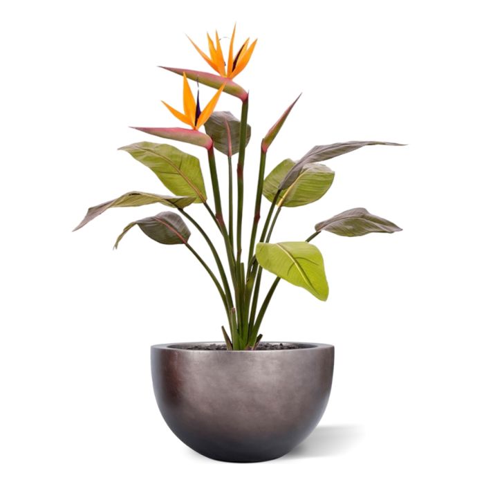 Strelitzia kunstplant 75cm
