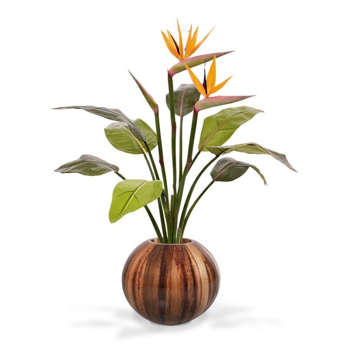 Strelitzia kunstplant 75cm