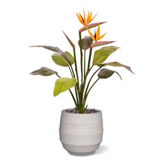 Strelitzia kunstplant 75cm