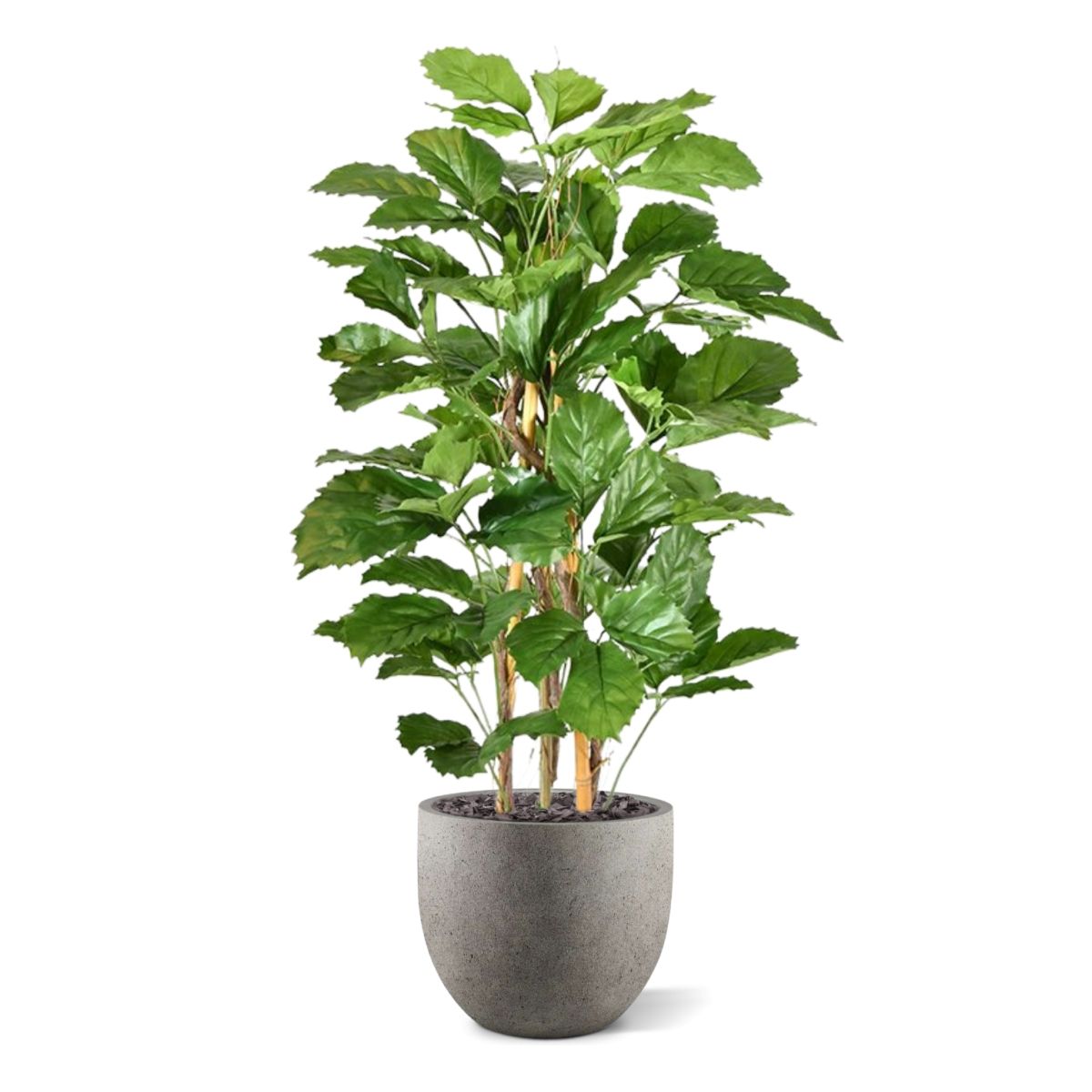 Tetrastigma kunstplant 120cm