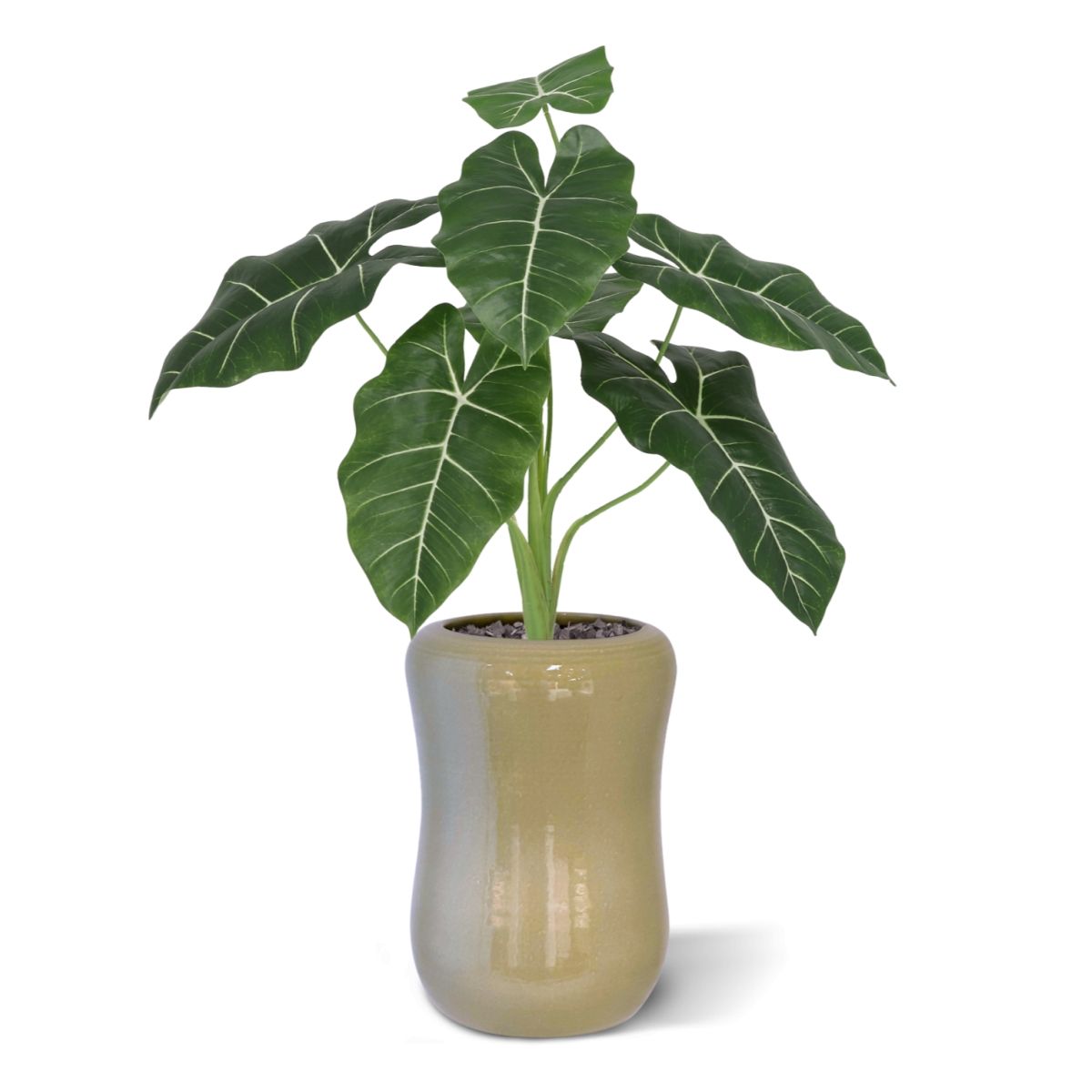 Alocasia Frydek Kunstplant 60cm Groen