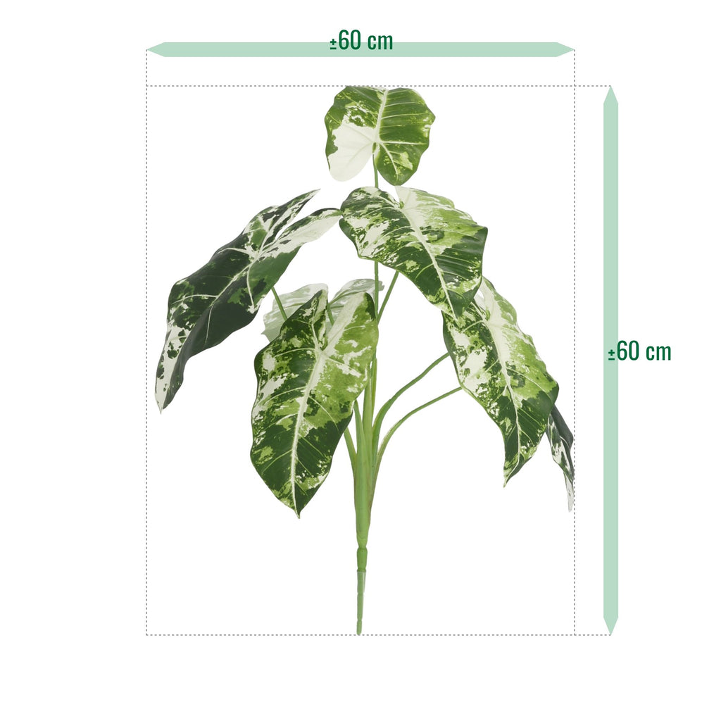 Alocasia Frydek Kunstplant Variegata 60cm