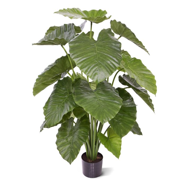 Alocasia Calidora kunstplant 115cm