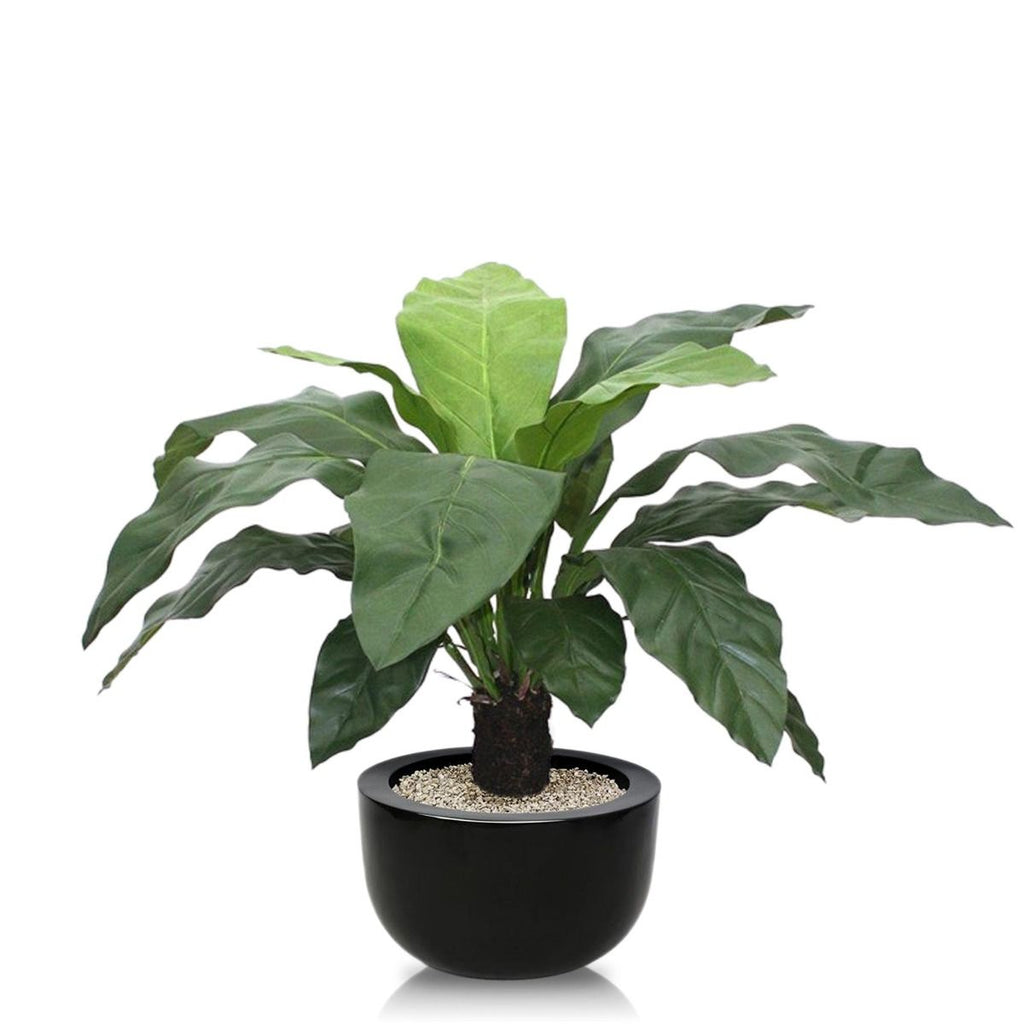 Anthurium Jungle King kunstplant 100cm