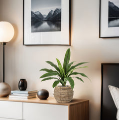 Asplenium Antiquum Kunstvaren 40cm