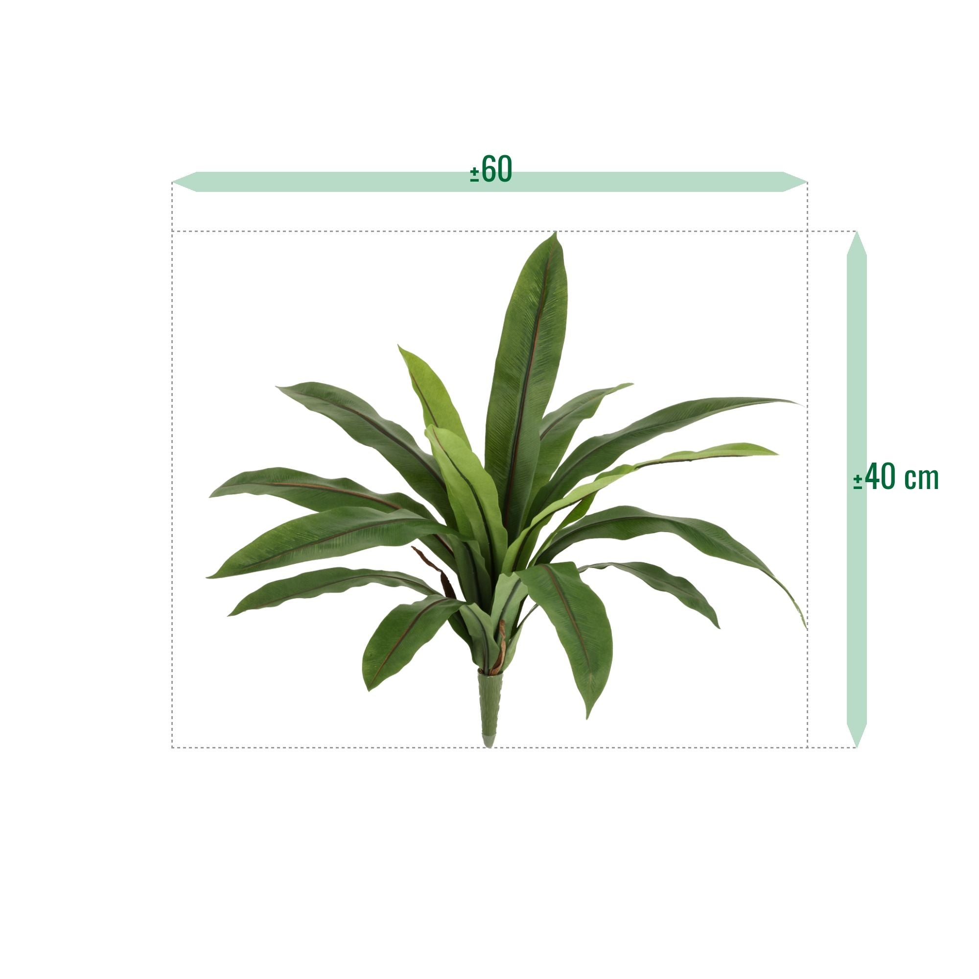 Asplenium Antiquum Kunstvaren 40cm