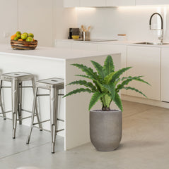 Asplenium Kunst Varen RT 60cm