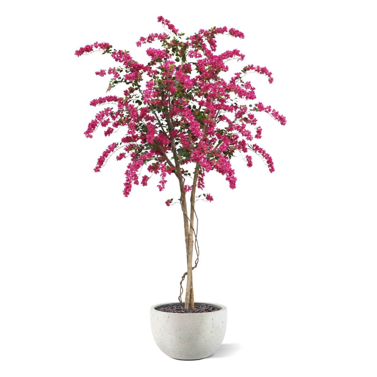 Bougainvillea Kunstboom Deluxe 300cm Cerise