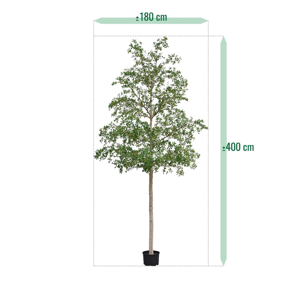 Bucida shady Lady Kunstboom 400cm groen