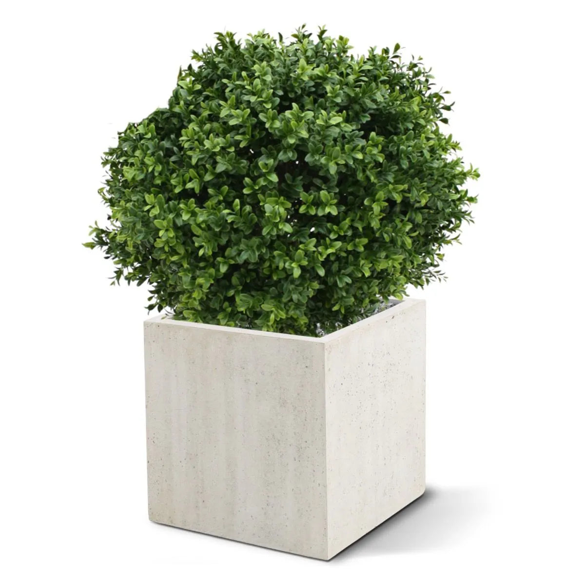 Kunst Buxusbol voor buiten 50 cm UV beschermd 