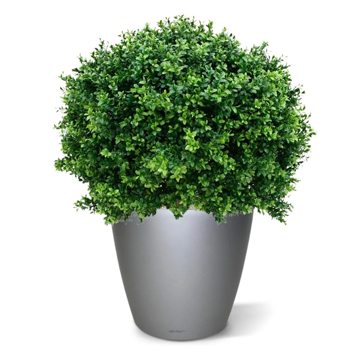 Kunst Buxusbol voor buiten 80 cm UV beschermd 