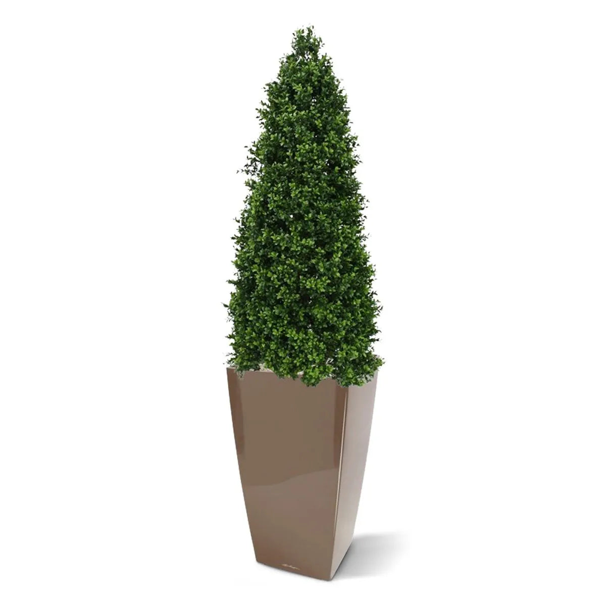 Kunst Buxus Piramide voor buiten 170 cm UV beschermd 